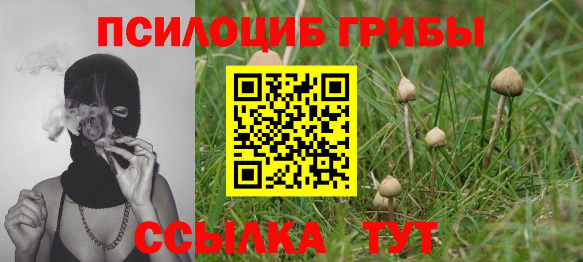 цена наркотик  Псилоцибиновые грибы MAGIC MUSHROOMS  Вход с VPN  Псилоцибиновые грибы мицелий  Фролово 